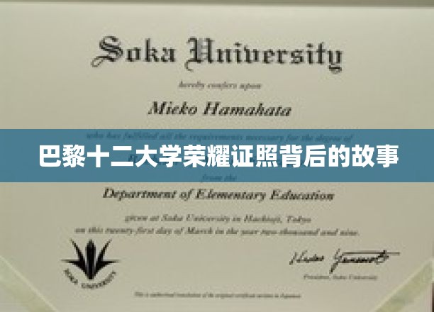 探寻巴黎十二大学荣耀证书的传奇诞生记