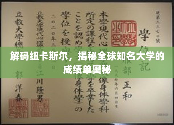 探寻纽卡斯尔大学，全球教育明珠的学术实力揭秘