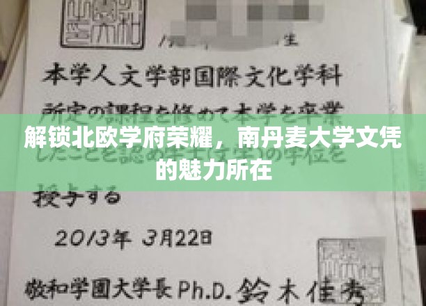 解锁北欧学府荣耀，南丹麦大学文凭的魅力所在