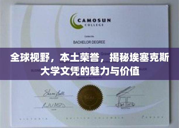 埃塞克斯大学文凭，跨国魅力，本土荣耀的双重价值解析