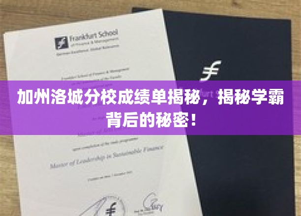 解码洛城学霸，加州分校成绩单背后的惊人真相！
