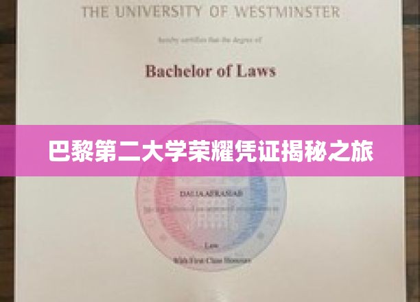 探寻巴黎第二大学荣耀证书背后的秘密之旅