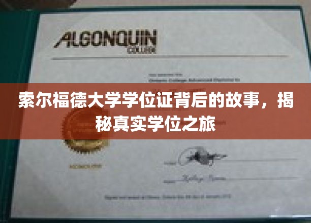 索尔福德大学学位证背后的传奇，一场真实的学位探寻之旅