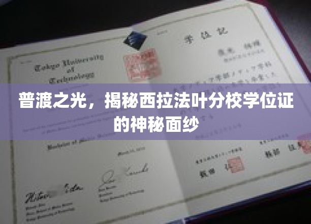 探寻普渡之光，西拉法叶分校学位证的独特奥秘