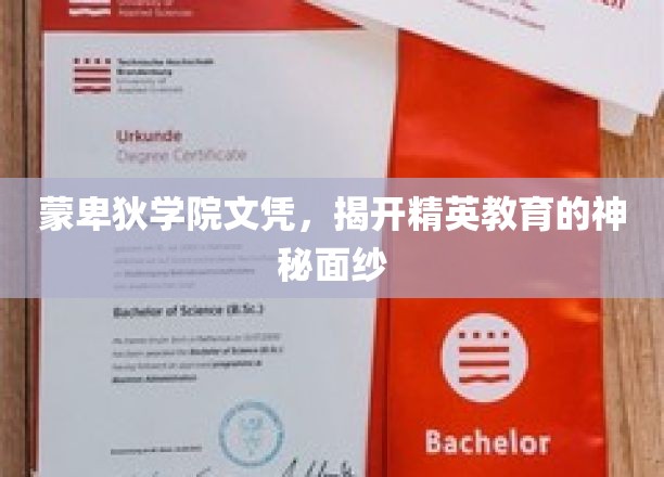 蒙卑狄学院文凭，揭开精英教育的神秘面纱