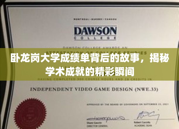 卧龙岗大学成绩单，揭开学子辉煌成就的幕后篇章