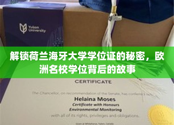 揭秘荷兰海牙大学学位证背后的独特魅力与传奇故事
