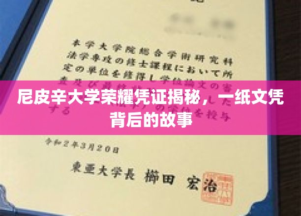 尼皮辛大学荣耀凭证揭秘，一纸文凭背后的故事