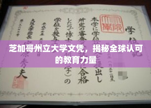 芝加哥州立大学，国际视野下的教育金牌