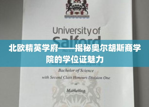 北欧精英学府——揭秘奥尔胡斯商学院的学位证魅力