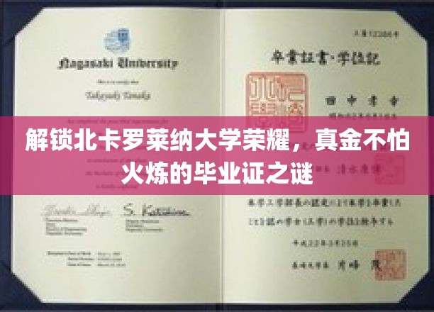 北卡罗莱纳大学荣耀揭秘，毕业证背后的坚毅与荣耀
