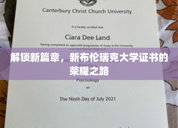 探索未来，新布伦瑞克大学证书成就非凡新里程
