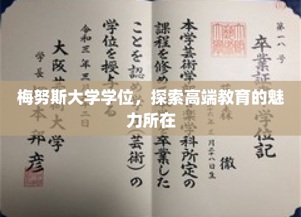梅努斯荣耀，解码高端学位教育的独特魅力