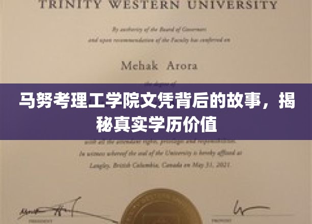 马努考理工学院文凭探秘，探寻学历背后的真实力量