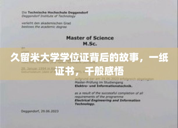 证书背后的传奇，久留米大学学位证的千重感悟之旅