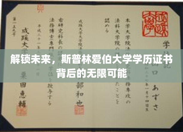 揭开斯普林爱伯大学证书背后的全球职场通行证