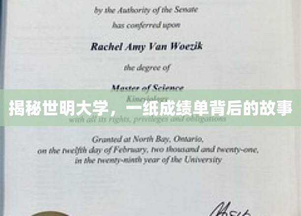 揭秘世明大学，一纸成绩单背后的故事
