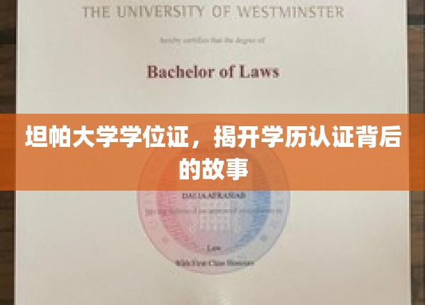 探寻坦帕大学学位证，学历认证背后的真实面貌