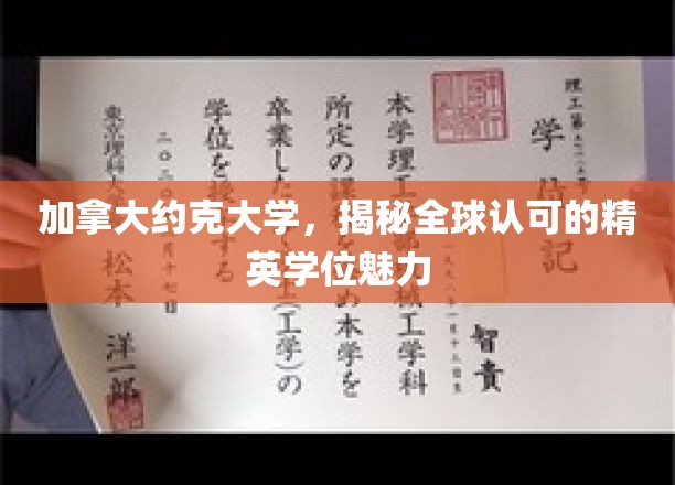 探索约克大学，全球精英学位的璀璨魅力