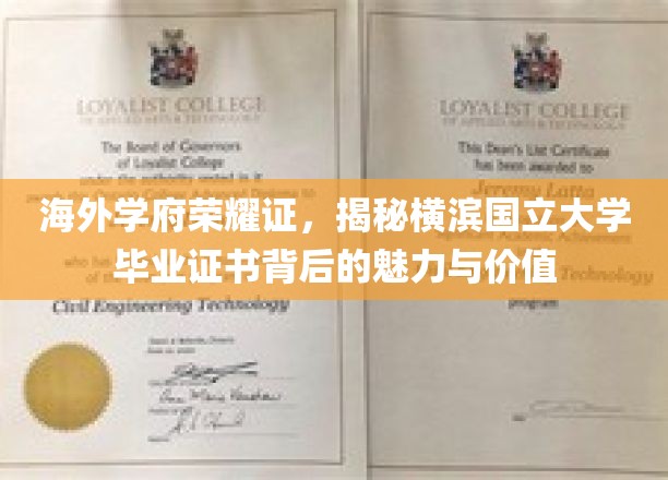 海外学府荣耀证，揭秘横滨国立大学毕业证书背后的魅力与价值