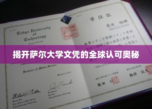 揭开萨尔大学文凭的全球认可奥秘