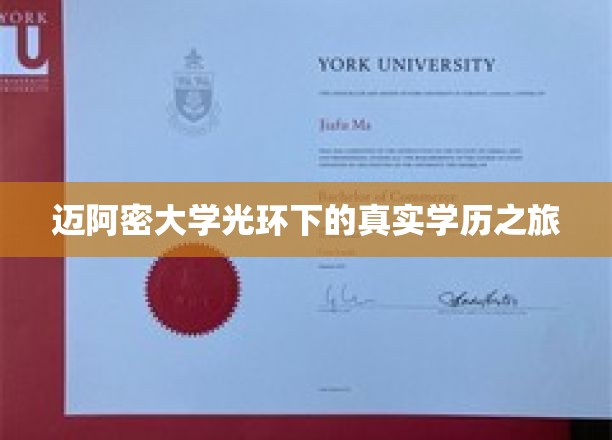迈阿密大学光环下的真实学历之旅