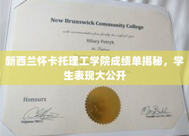 新西兰怀卡托理工学院学霸档案大曝光，成绩单背后的学途故事