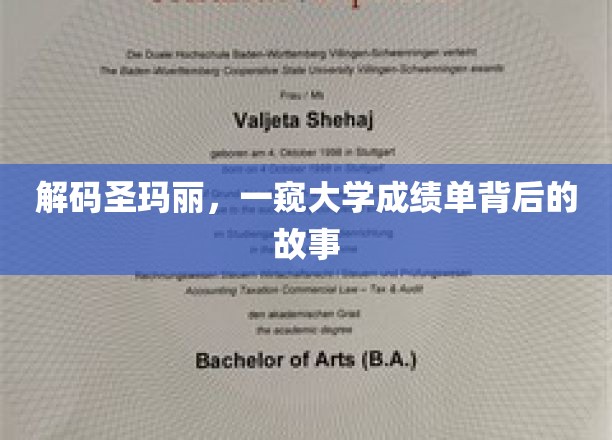 探寻圣玛丽大学，揭开成绩单背后的神秘面纱
