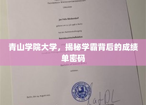 青山学院大学，揭秘学霸背后的成绩单密码