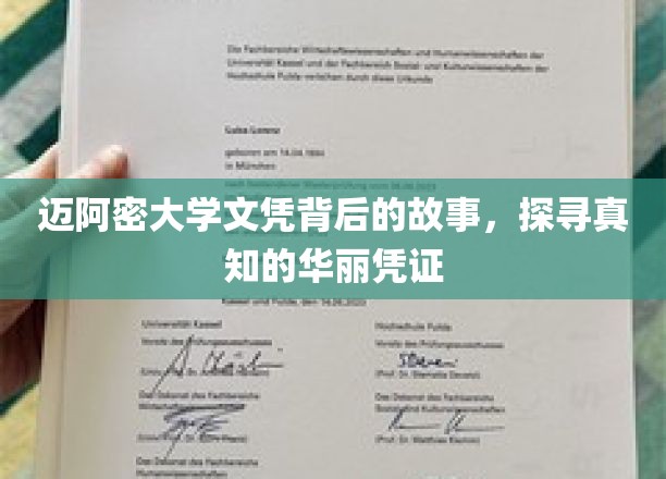 迈阿密大学文凭背后的传奇，揭秘学历背后的真实故事