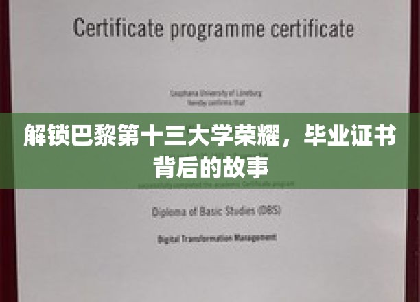 探寻巴黎第十三大学辉煌足迹，毕业证书背后的传奇历程
