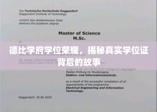 学位荣耀背后，德比学府的传奇学历之旅