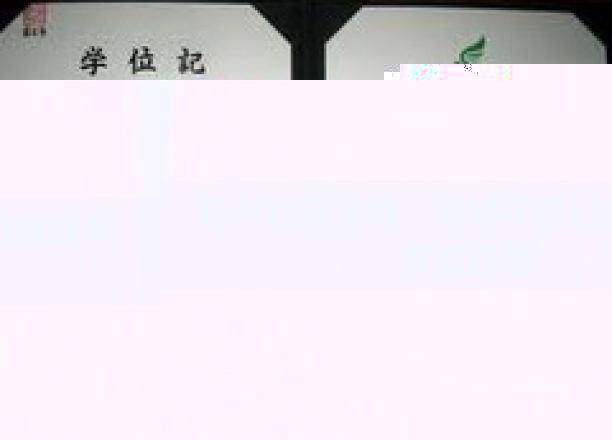 宾州约克学院学霸秘籍，揭开高分背后的成长轨迹