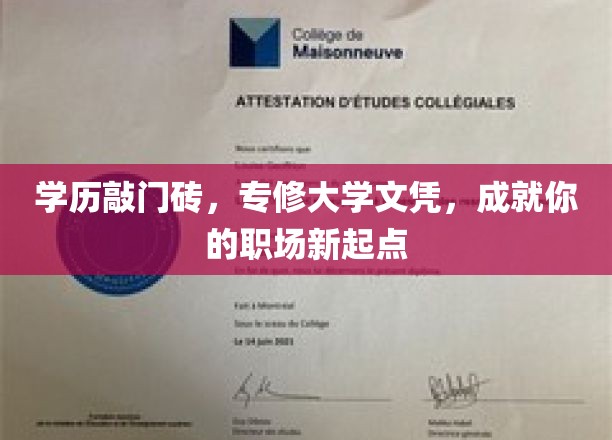 学历敲门砖，专修大学文凭，成就你的职场新起点