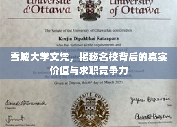 雪城大学文凭，揭秘名校背后的真实价值与求职竞争力