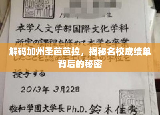 探索圣芭芭拉名校背后的辉煌战绩