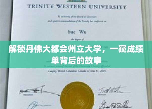 探寻丹佛大都会州立大学，揭开成绩单背后的精彩篇章
