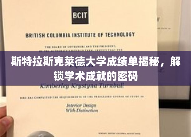 斯特拉斯克莱德大学成绩单解码，揭秘学术成功的密钥