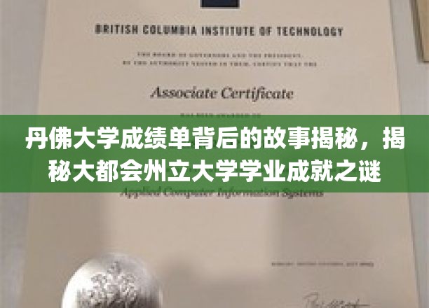 丹佛大学成绩单背后的故事揭秘，探秘大都会州立大学学业成就之谜