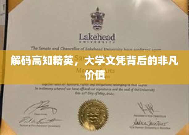 探寻高学历光环下的不凡人生轨迹