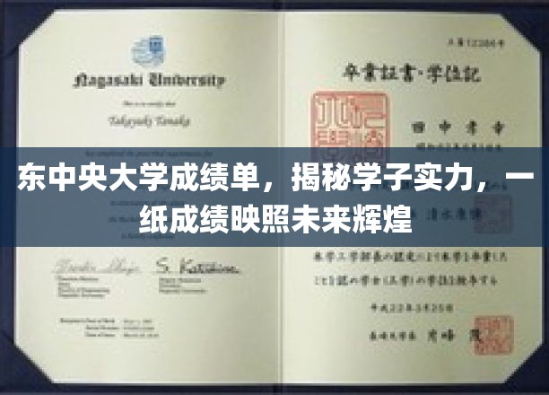 东中央大学成绩单，揭示学子实力，一纸成绩映射未来辉煌