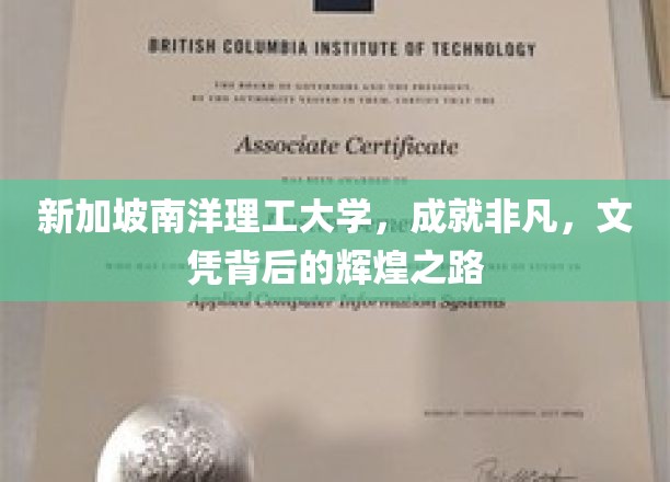 新加坡南洋理工大学，成就非凡，文凭背后的辉煌之路