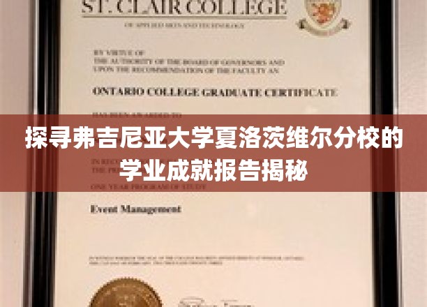 揭开弗吉尼亚大学夏洛茨维尔分校学术辉煌背后的秘密