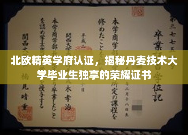 丹麦技术大学荣耀证书，北欧精英学府认证的独有殊荣