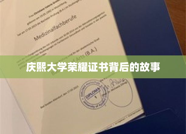 庆熙大学荣誉证书背后的故事