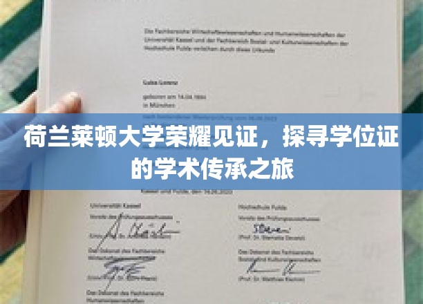 跨越莱顿荣耀，学位证的学术足迹之旅
