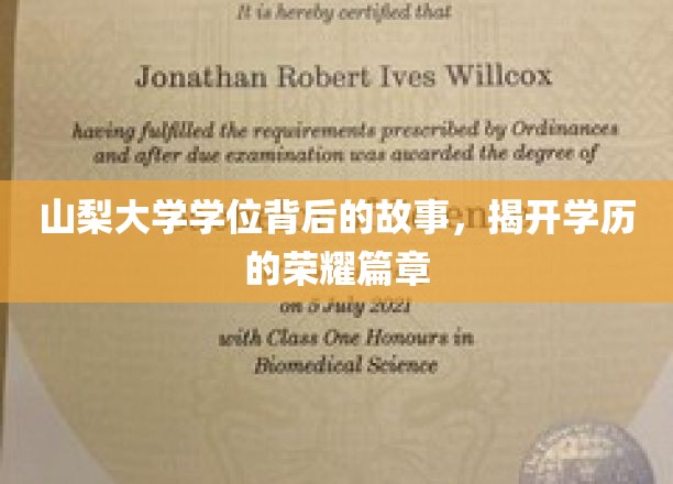 山梨大学荣耀背后，揭秘学历成就的非凡旅程