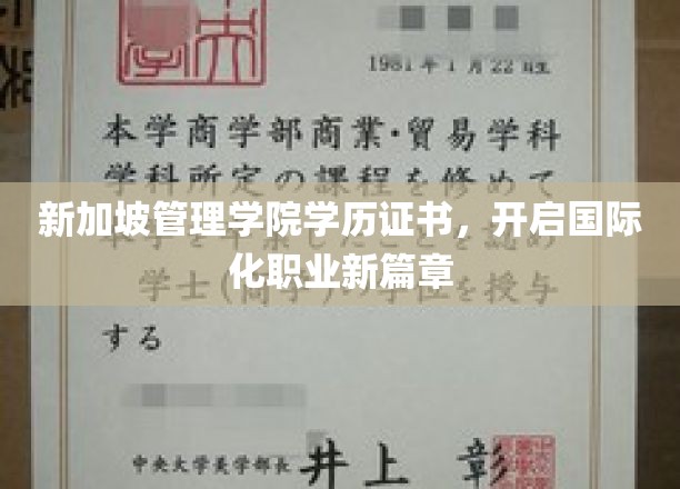 跨国就业通行证，新加坡管理学院学历证书助你迈向国际职场新里程