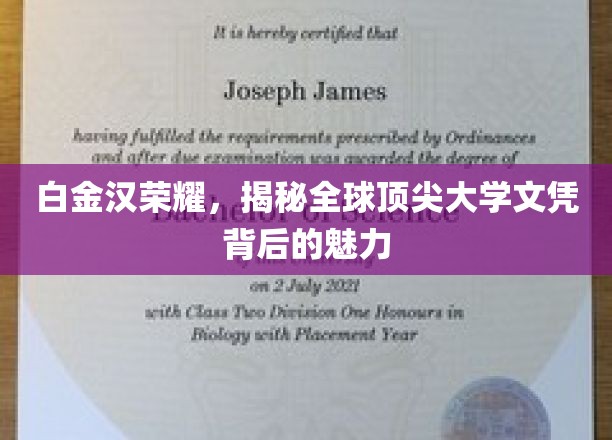 解码白金汉荣耀，全球顶尖大学文凭的非凡魅力