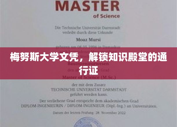 梅努斯文凭，开启学术之旅的金钥匙